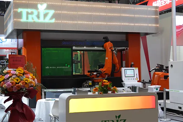 16-osiowa dwustanowiskowa wycinarka laserowa 3D